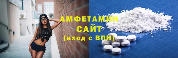мет Алексин