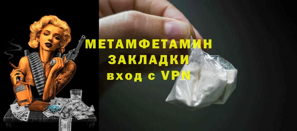 мет Алексин