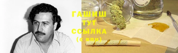 мяу мяу мука Алзамай