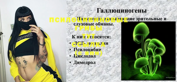мяу мяу мука Алзамай